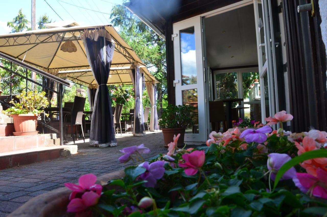 Hotel Viktoria Balatonalmádi Εξωτερικό φωτογραφία
