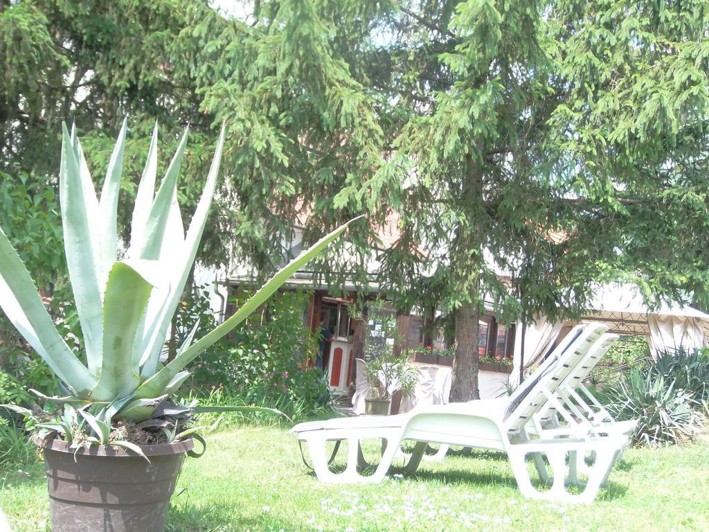Hotel Viktoria Balatonalmádi Εξωτερικό φωτογραφία