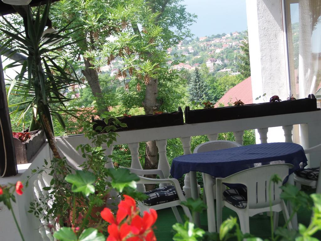 Hotel Viktoria Balatonalmádi Εξωτερικό φωτογραφία
